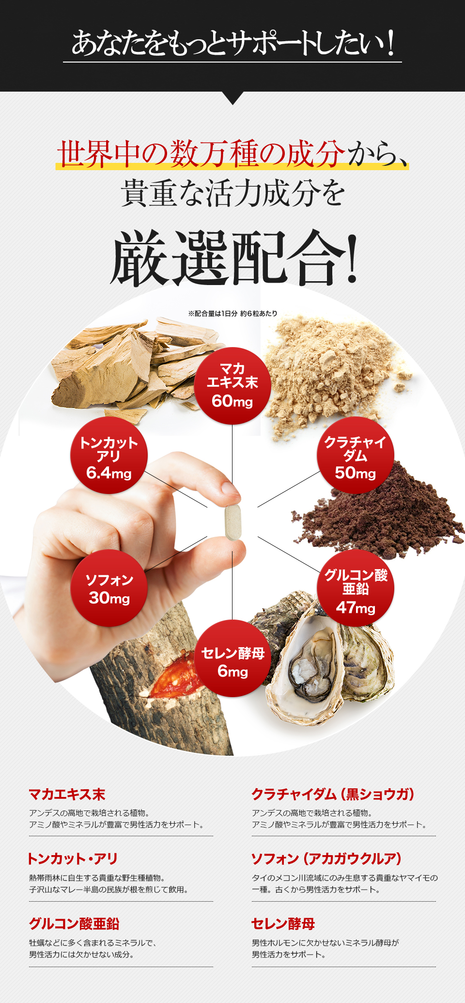 マカエキス末、トンカットアリ、クラチャイダム、ソフォン、セレン酵母、グルコン酸亜鉛などの男性に人気のサプリメントを配合