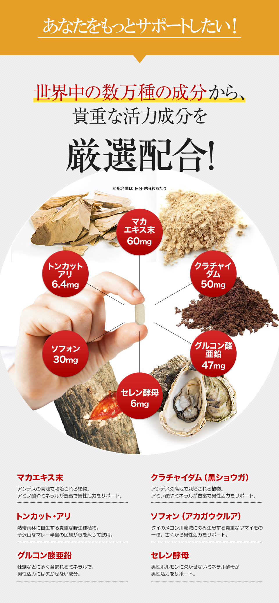 マカエキス末、トンカットアリ、クラチャイダム、ソフォン、セレン酵母、グルコン酸亜鉛などの男性に人気のサプリメントを配合