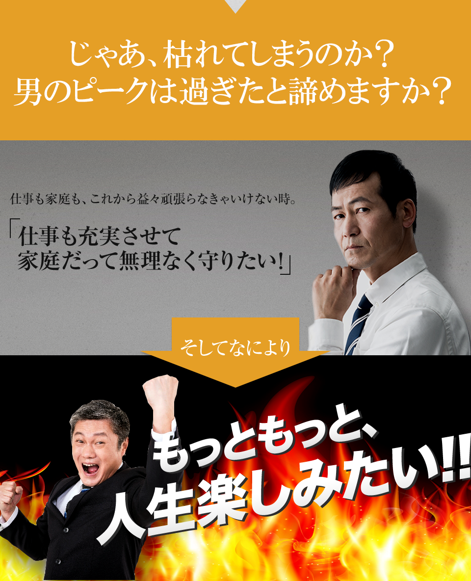夜楽しみたい、精力増強、男性用サプリ、滋養強壮、中折れ防止、ED改善のために