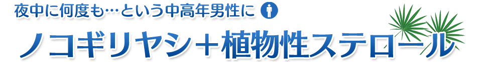 夜中に何度もトイレ・・・という中高年男性にノコギリヤシ+植物性ステロール