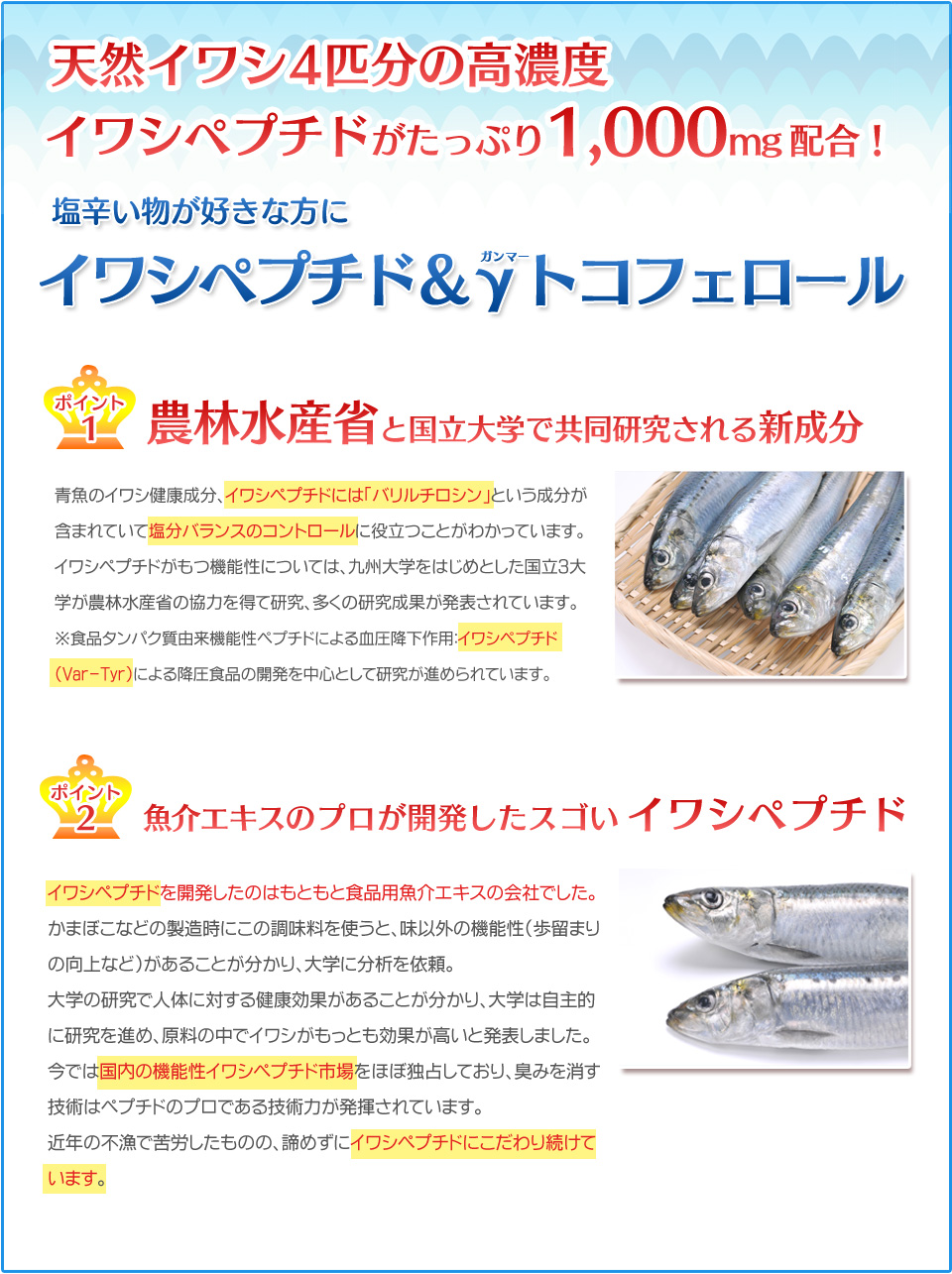 天然イワシ4匹分の高濃度イワシペプチドがたっぷり1,000mg配合!イワシペプチドには「バリルチロシン」という成分が含まれており、塩分バランスコントロールに役立つことが分かっています。イワシペプチドによる降圧食品の開発研究がすすめられています。