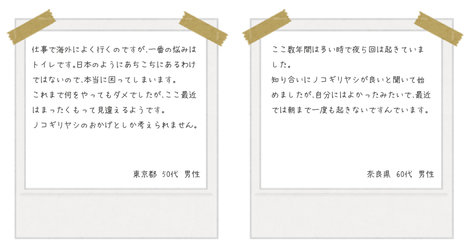 ノコギリヤシ お客様の声