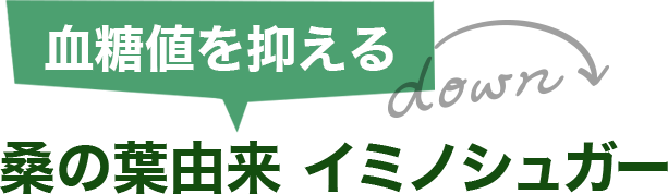 血糖値を抑える　桑の葉由来　イミノシュガー