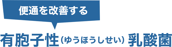 便通を改善する　有胞子性（ゆうほうしせい）　乳酸菌