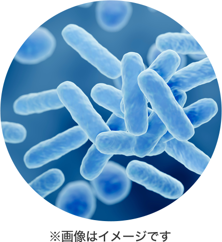 便通を改善する　有胞子性（ゆうほうしせい）　乳酸菌