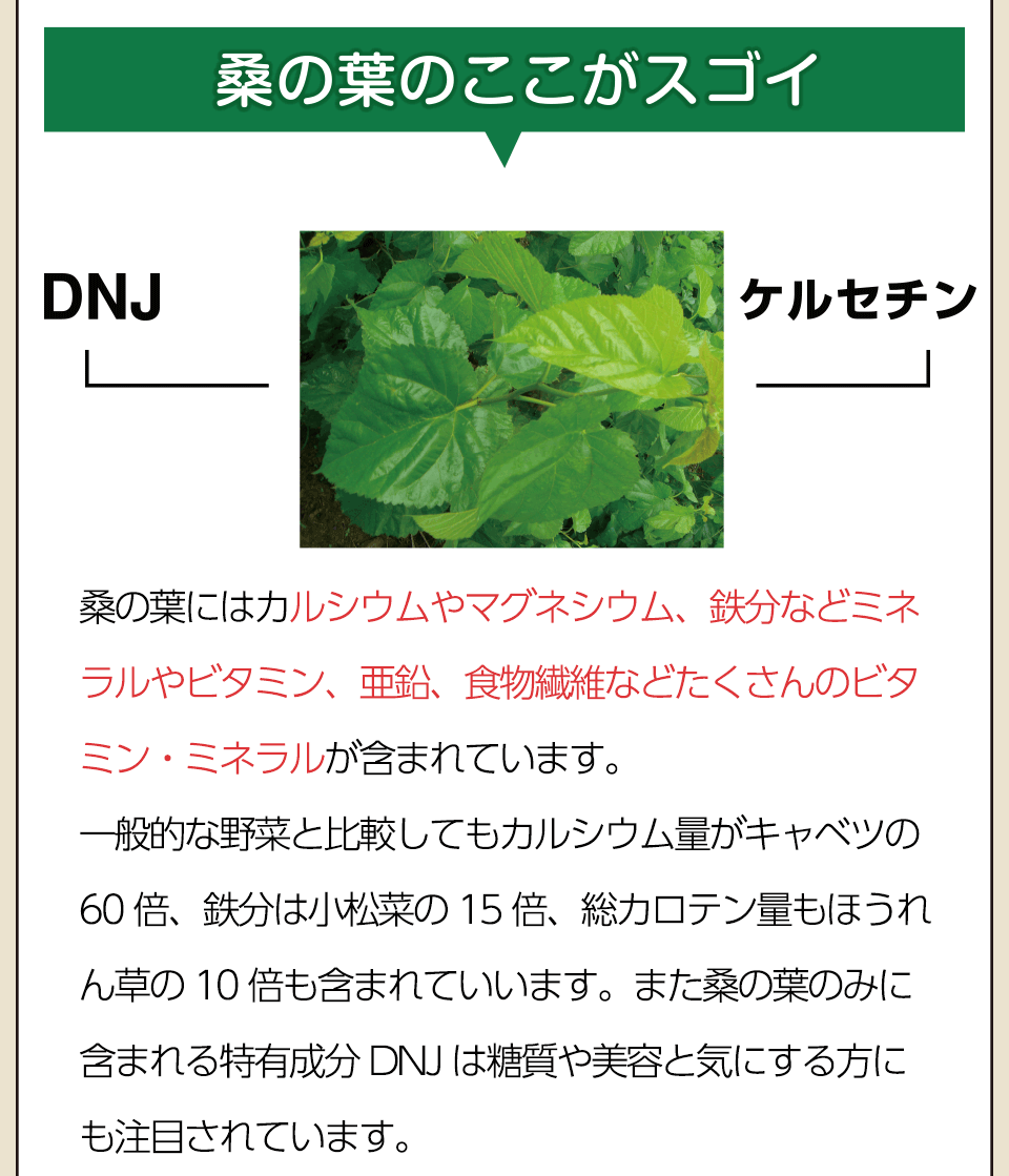 特許取得製法仕上げ国産桑の葉・熊本産・栽培期間中 農薬不使用。養価の高い国産の桑の葉を厳選して配合しています。栄養・鮮度を保つため、特許製法「スチームブランチング」で仕上げ、栄養豊富な桑の葉を贅沢に使用。