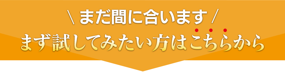 まだ間に合いますまずは試してみたい方はこちら