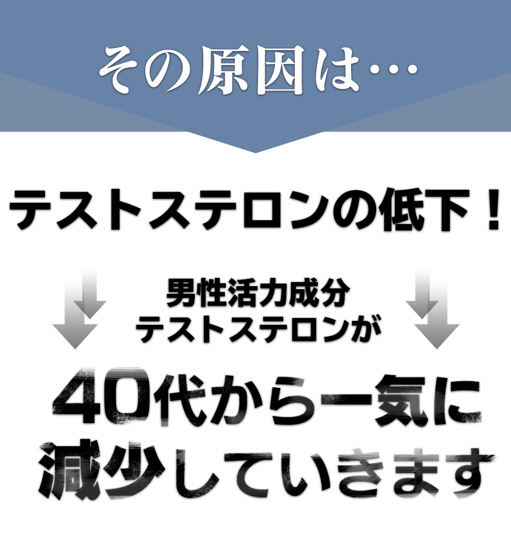 テストステロン男性活力成分が年齢とともに低下し減少