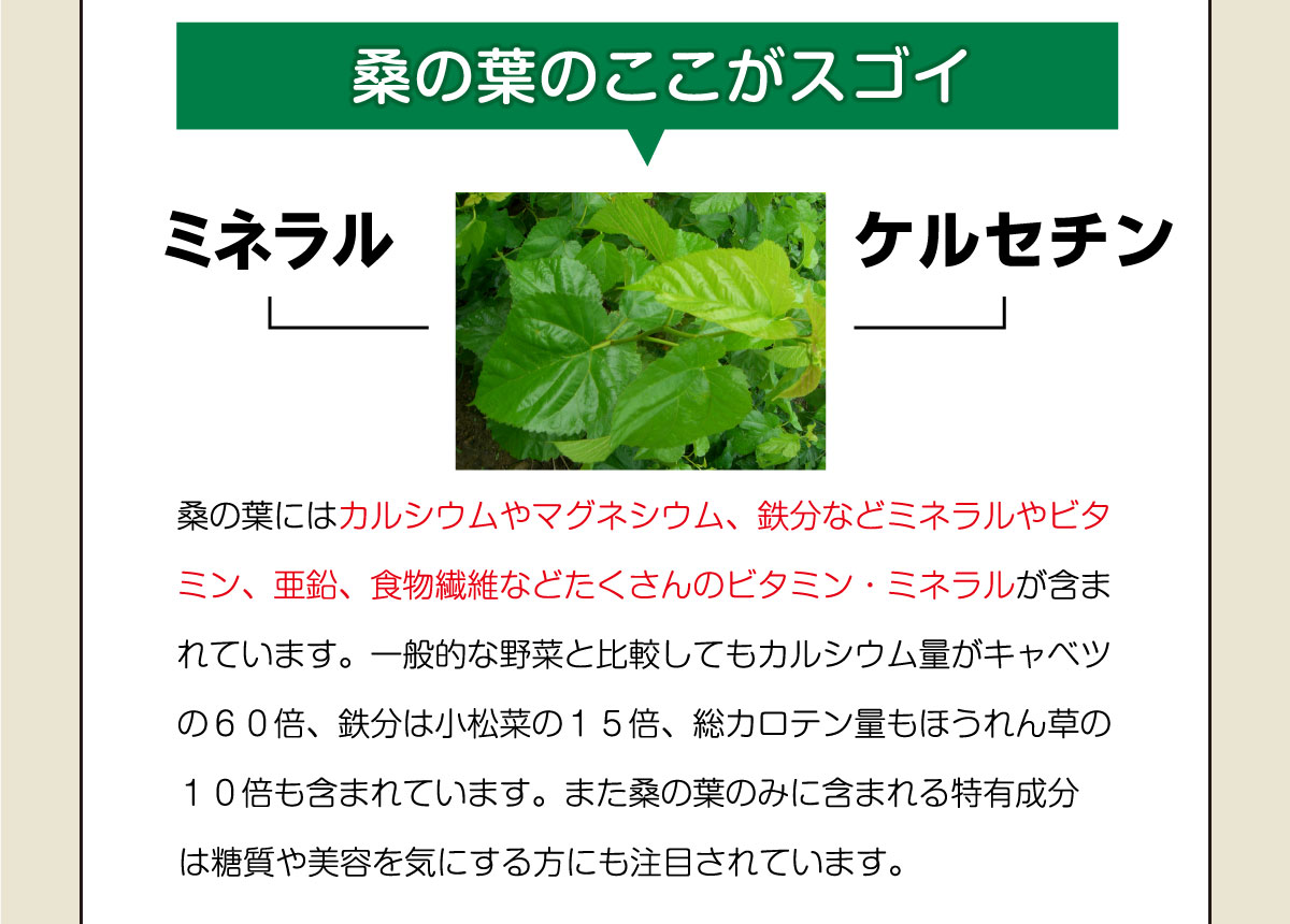 桑の葉のここがスゴイ!桑の葉にはカルシウムやマグネシウム、鉄分などミネラルやビタミン、亜鉛、食物繊維などたくさんのビタミン・ミネラルが含まれています。一般的な野菜と比較してもカルシウム量がキャベツの60倍、鉄分は小松菜の15倍、総カロテン量もほうれん草の10倍も含まれています。また桑の葉のみに含まれる特有成分DNJは糖質や美容を気にする方にも注目されています。