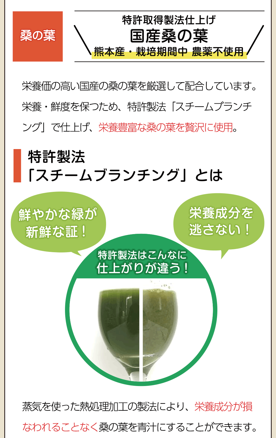 特許製法 「スチームブランチング」とは。緑色の葉にはクロロフィルという緑の色素が含まれています。スチームブランチングという特許製法では蒸気を使った熱加工処理を行います。この製法により、栄養成分が損なわれることなく、桑の葉の鮮やかな色(クロロフィル)を保つことができます。