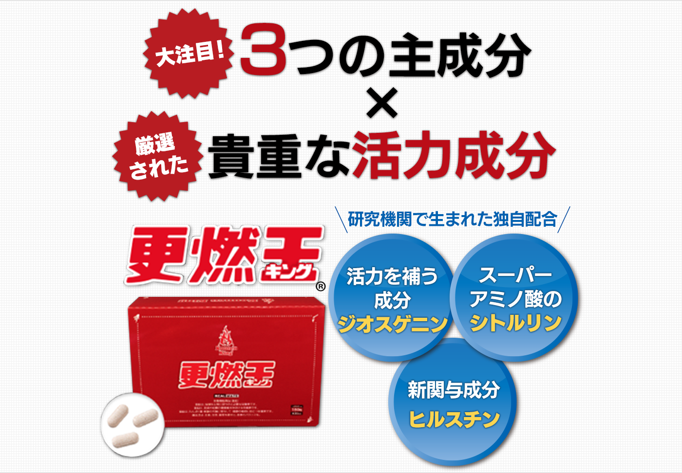 ３つの主成分と厳選された貴重な活力成分更燃王