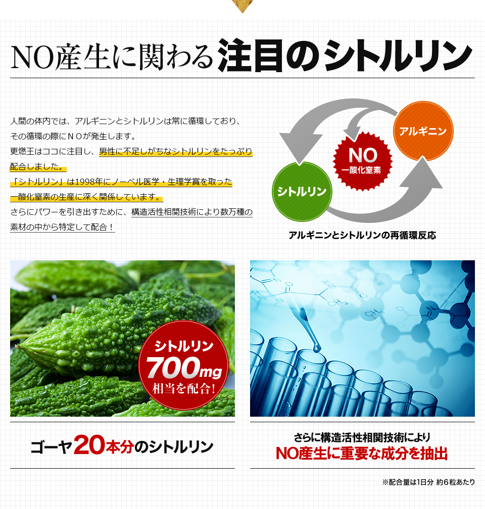 男性に不足しがちなシトルリンを配合しNO産生をサポート!