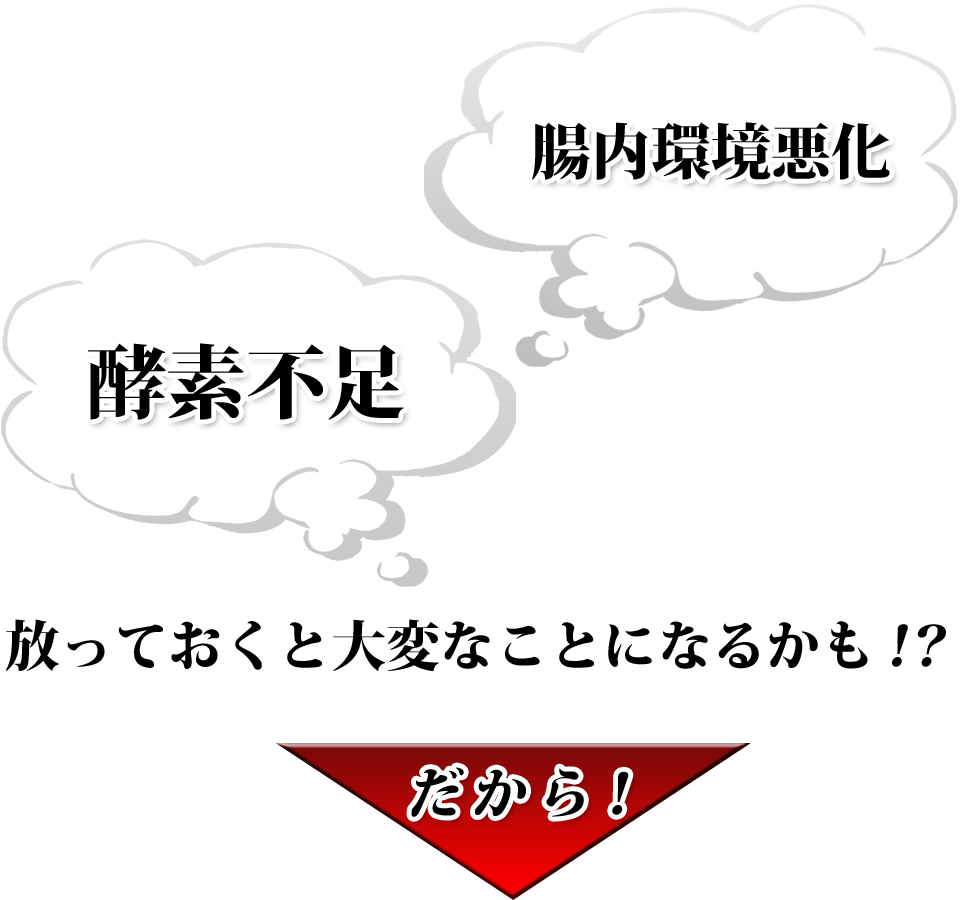 酵素不足と腸内環境の悪化