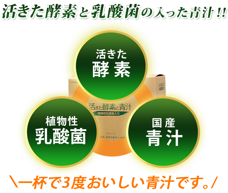 活きた酵素と国産青汁、植物性乳酸菌、3成分を補う青汁