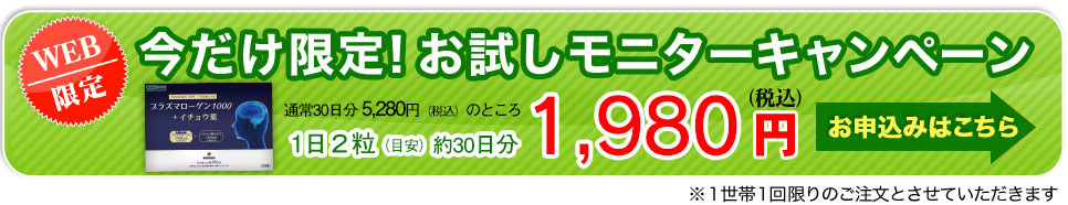 今だけの限定特別キャンペーン価格！プラズマローゲン1000+イチョウ葉500円