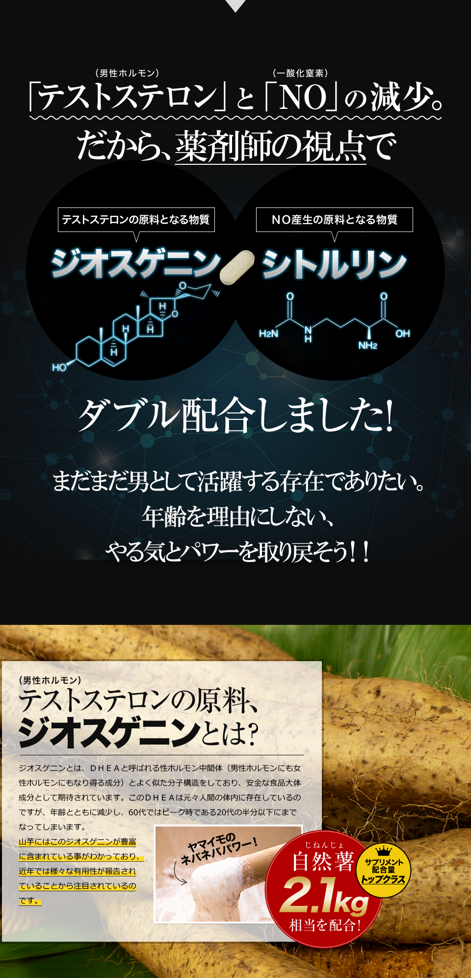 更燃王(コウネンキング)にはテストステロン(ジオスゲニンから抽出)とNO(一酸化窒素)を効率よくダブル配合しました。