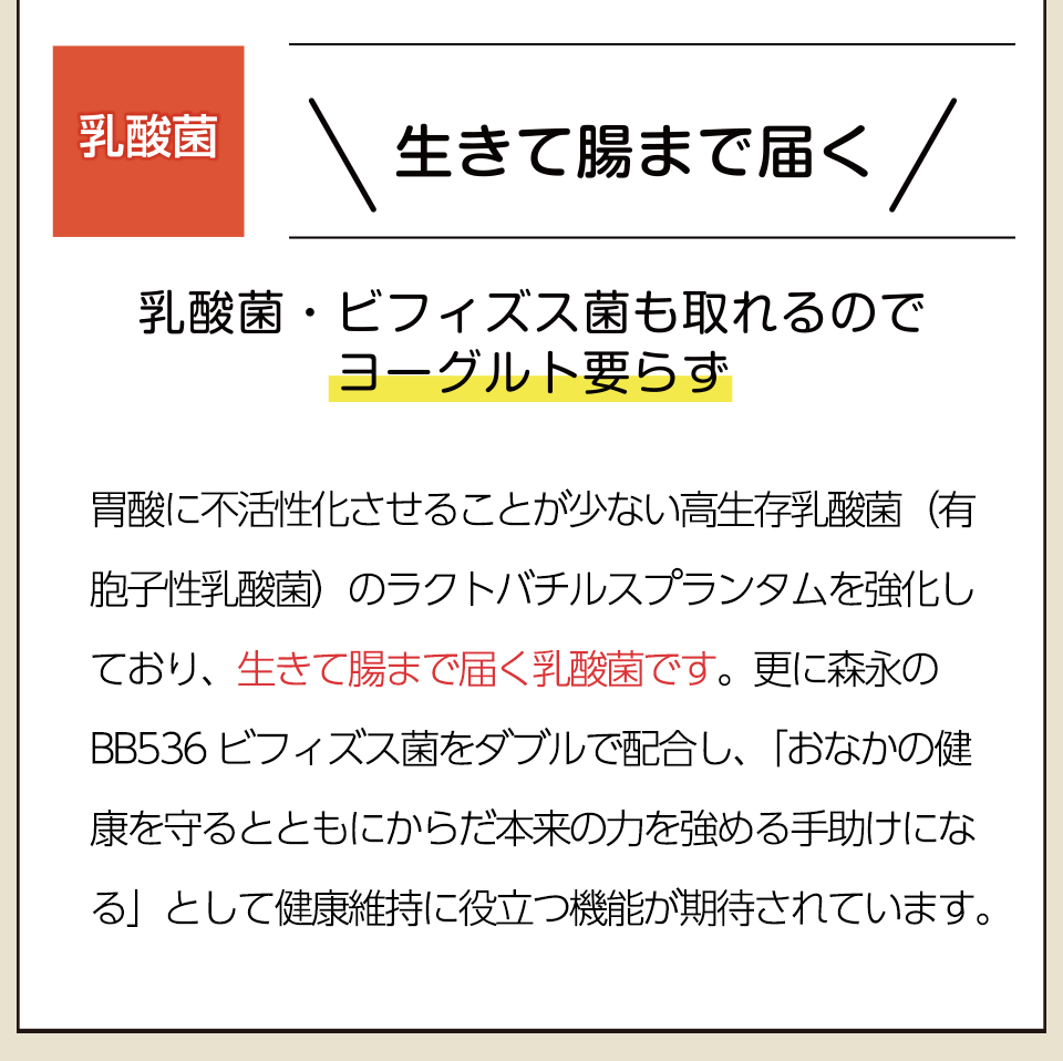 生きて腸まで届く乳酸菌！乳酸菌・ビフィズス菌も取れるので ヨーグルト要らず。胃酸に不活性化させることが少ない高生存乳酸菌（有胞子性乳酸菌）のラクトバチルスプランタムを強化しており、生きて腸まで届く乳酸菌です。更に森永のＢＢ５３６ビフィズス菌をダブルで配合し、「おなかの健康を守るとともにからだ本来の力を強める手助けになる」として健康維持に役立つ機能が期待されています。