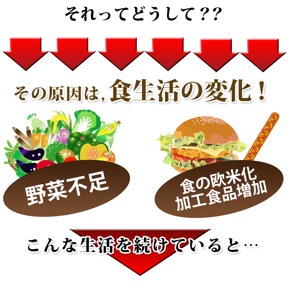 原因は食生活！食の欧米化による影響です。
