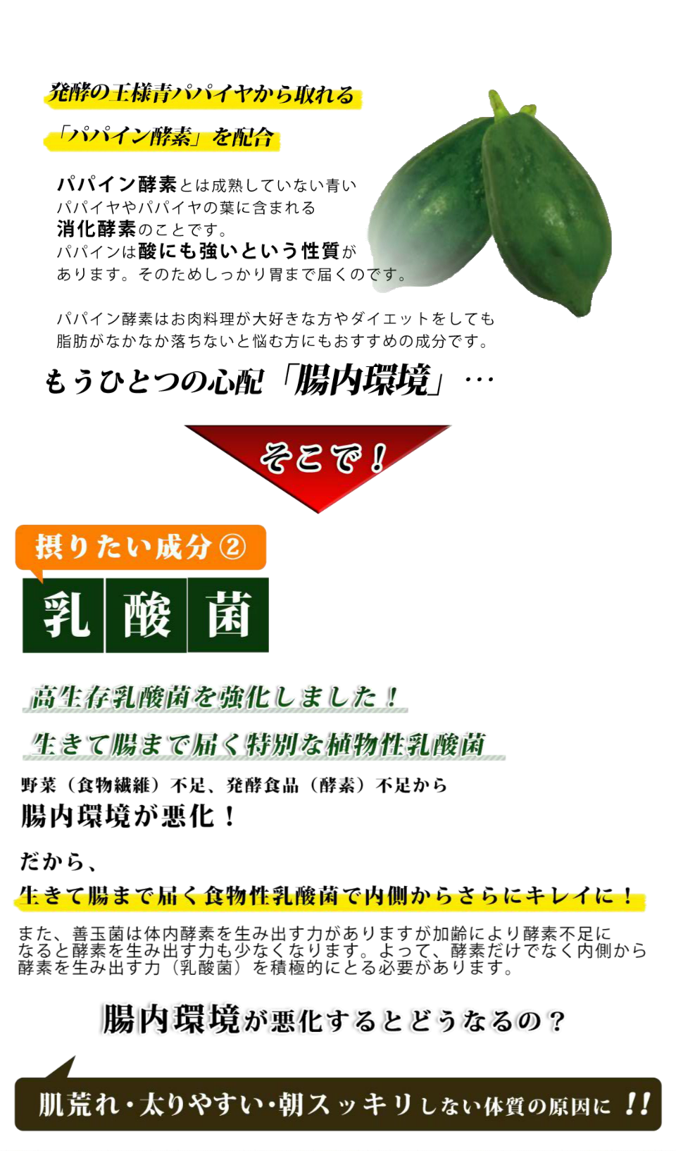 パパイン酵素と生きて腸まで届く植物性乳酸菌配合。善玉菌は体内酵素を生み出す力がありますが加齢により酵素不足になると酵素を生み出す力も減少します。内側から酵素を生み出す力（乳酸菌）を摂りましょう。