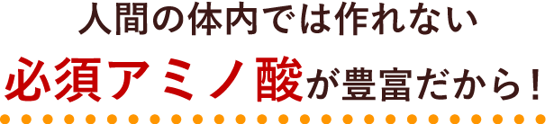 人間の体内では作れない、必須アミノ酸が豊富だから！