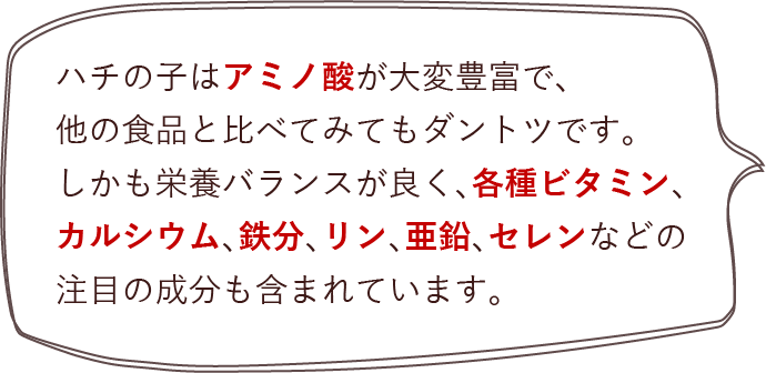ハチの子はアミノ酸が大変豊富で、他の食品と比べてみてもダントツです。しかも栄養バランスがよく、各種ビタミン、カルシウム、鉄分、リン、亜鉛、セレンなどの注目の成分も含まれています。