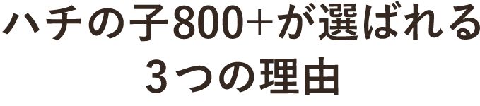 ハチの子800プラスが選ばれる3つの理由