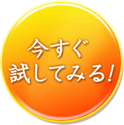 今すぐ試してみる!