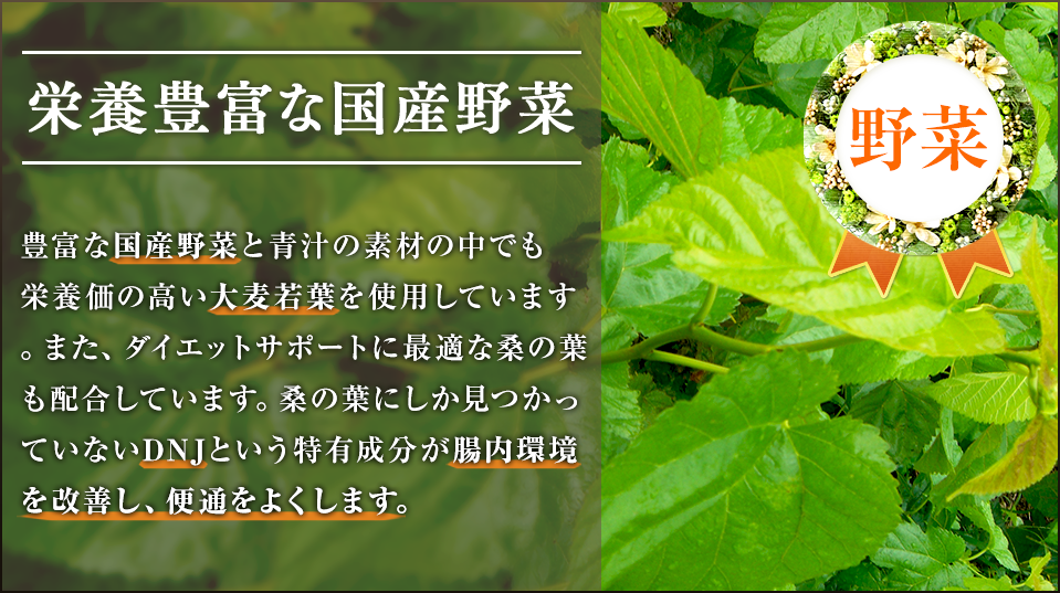 野菜　栄養豊富な国産野菜　豊富な国産野菜と青汁の素材の中でも栄養価の高い大麦若葉を使用しています。また、ダイエットサポートに最適な桑の葉も配合しています。桑の葉にしか見つかっていないDNJという特有成分が腸内環境を改善し、便通をよくします。