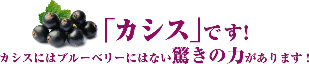 「カシス」です！