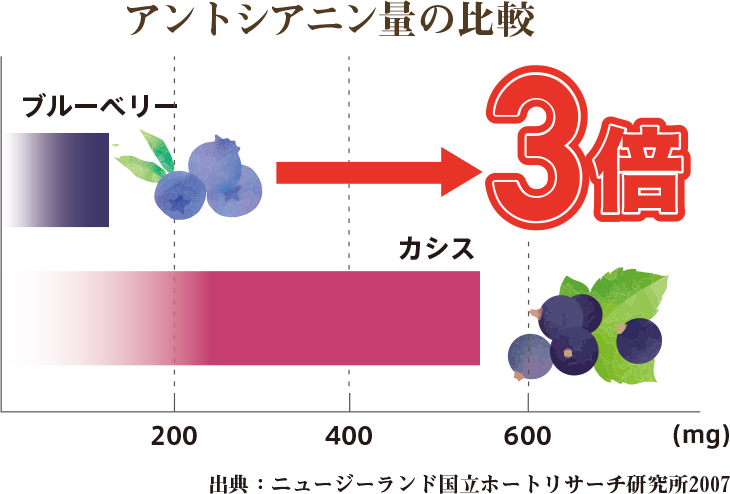 アントシアニン量の比較