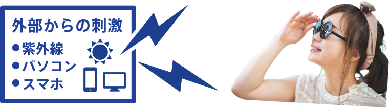 外部からの刺激