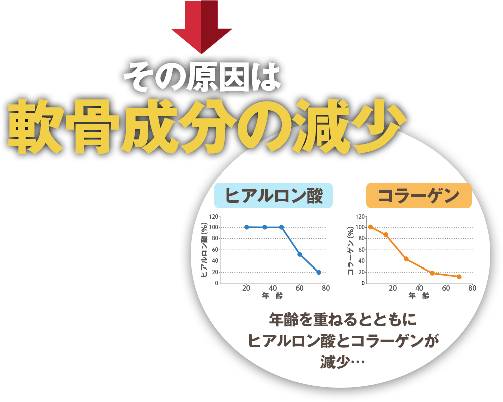 その原因は軟骨成分の減少