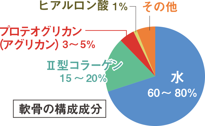 軟骨成分の構成成分