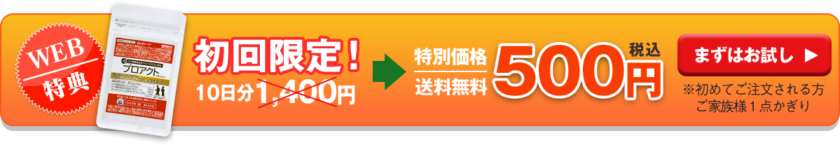 初回限定！特別価格WEB特典500円