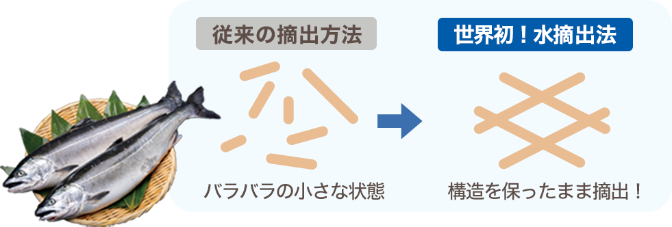 世界初！水摘出法 構造を保ったまま摘出！