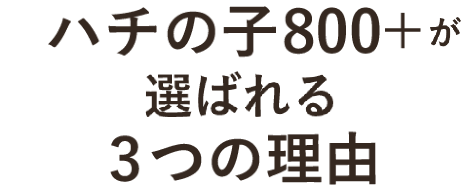 ハチの子800プラスが選ばれる3つの理由